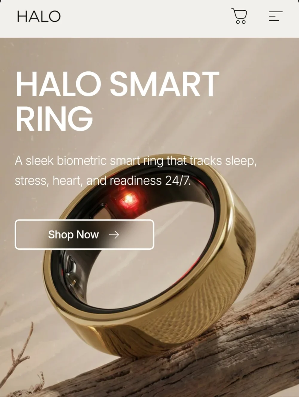 HALO Smart Ring + Charging Case